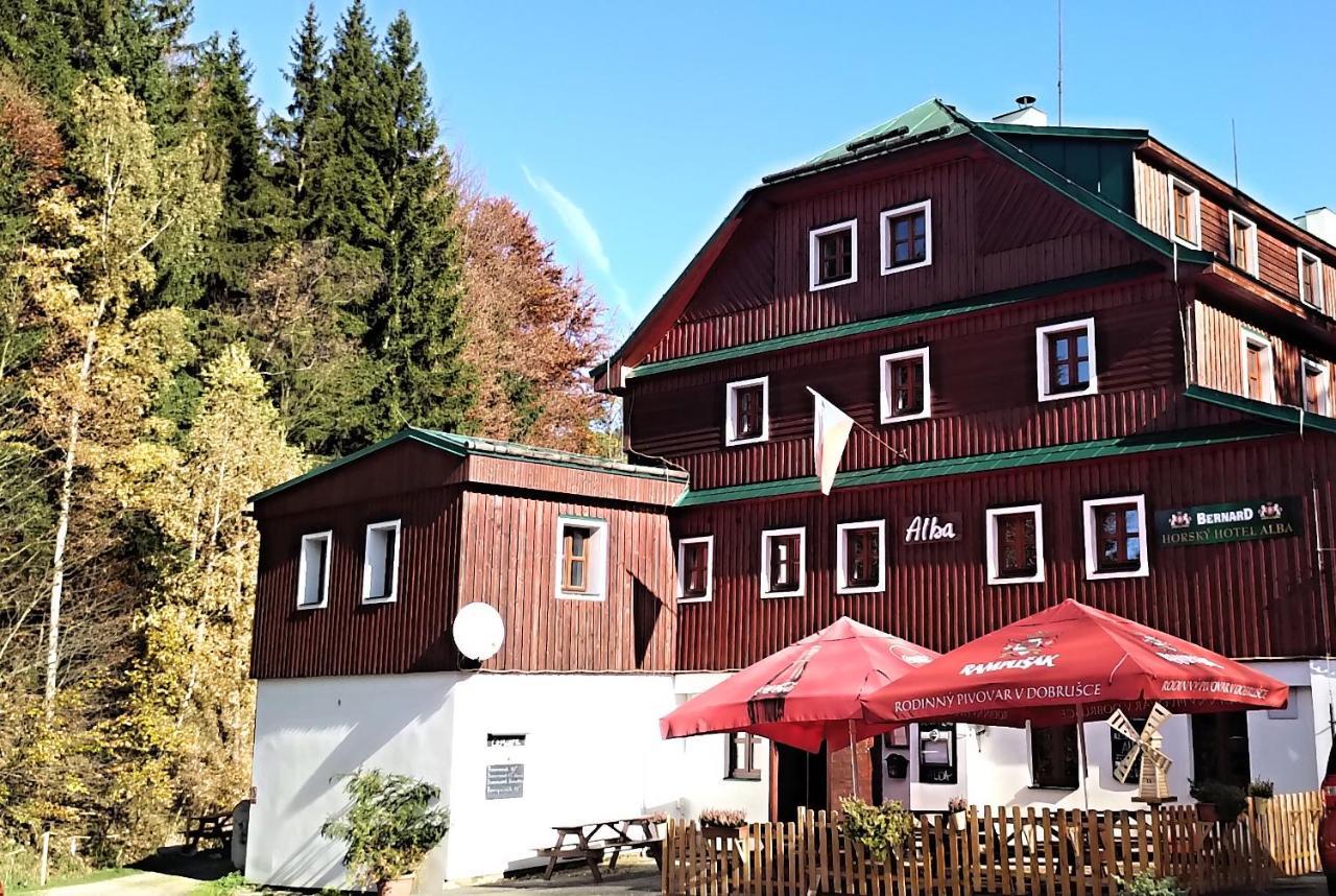 Hotel Alba Destne v Orlickych horach Extérieur photo