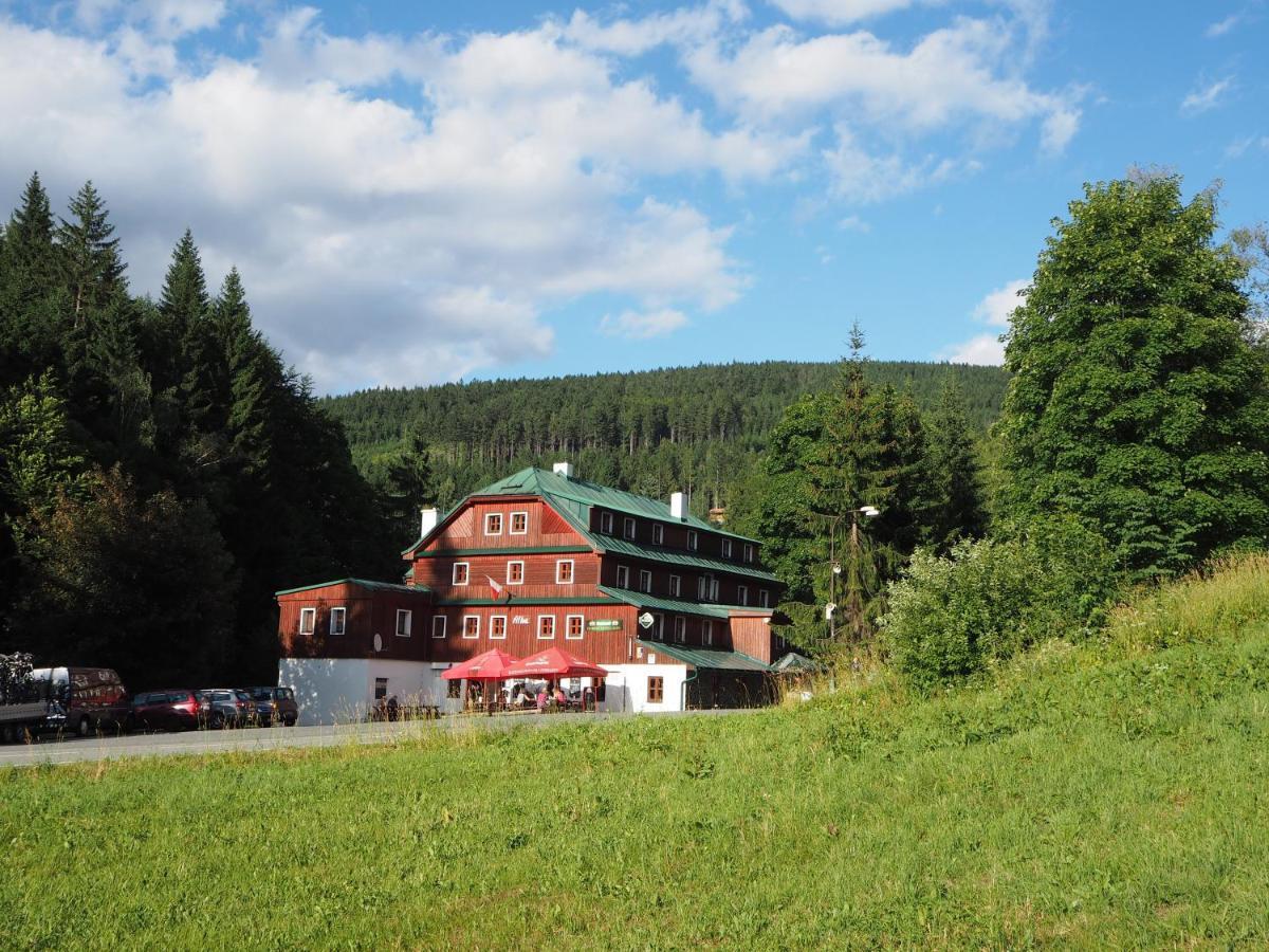 Hotel Alba Destne v Orlickych horach Extérieur photo