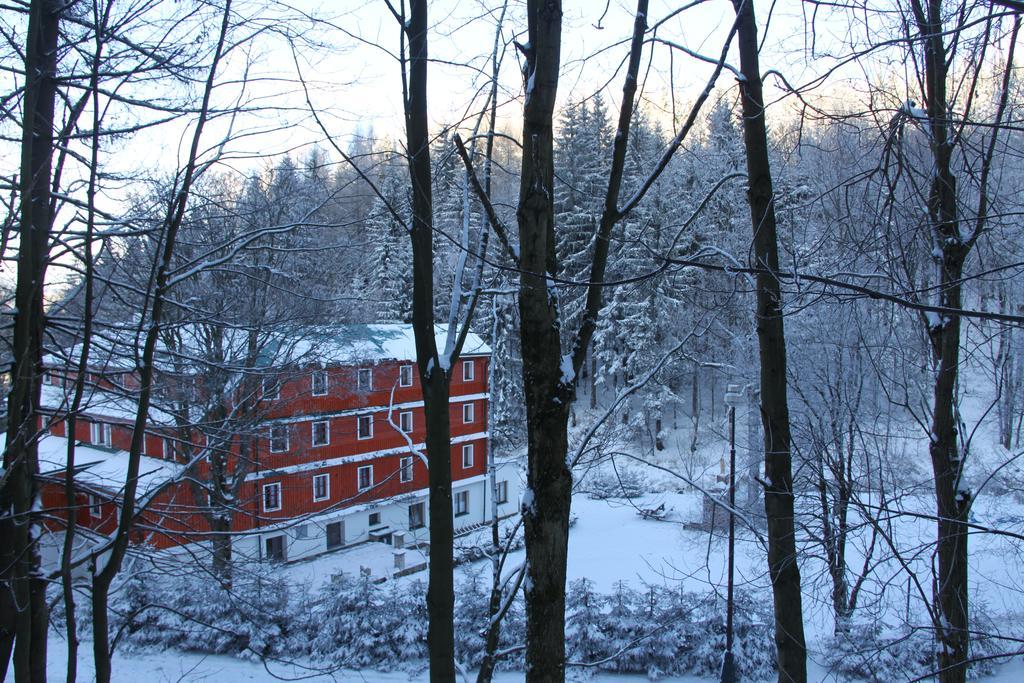 Hotel Alba Destne v Orlickych horach Extérieur photo